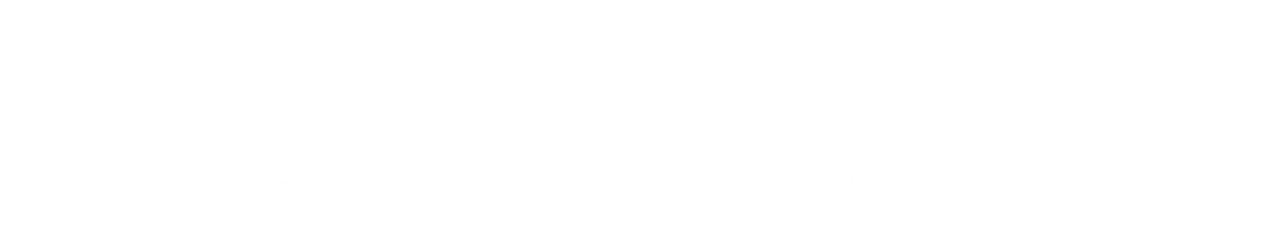 OSAKA VUE